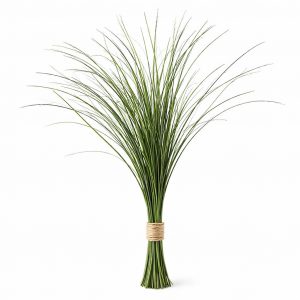 Берграсс (1 пучок)