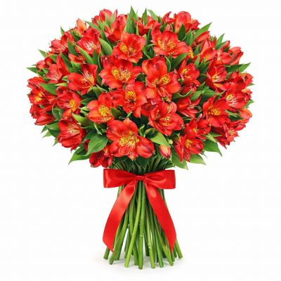 Альстромерия красная