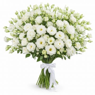 Эустома белая