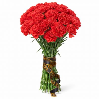 Гвоздика красная