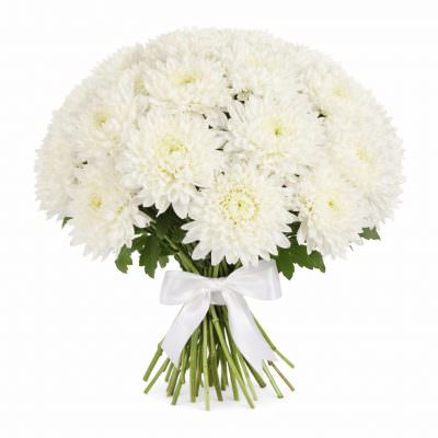 Хризантема одноголовая белая