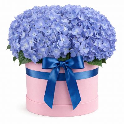 Шляпная коробка с гортензией «Гламур»