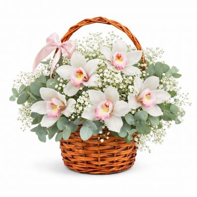 Корзина с орхидеей и гипсофилой «Букет мечты»