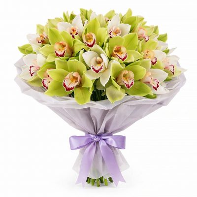 Орхидея зеленая