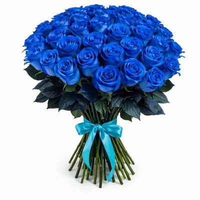 Розы Голландия синие