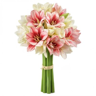 Амариллис микс 1