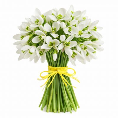 Букет с подснежниками «Весенний шёпот»