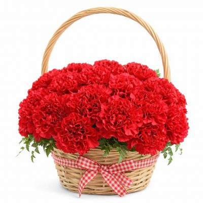 Корзина с красными гвоздиками «Яркая симфония»