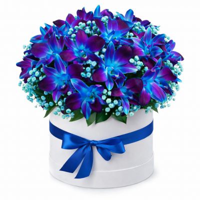 Цветы в цилиндрической коробке «Синий дендробиум»
